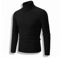 Mens Knit Turtleneck Sweater Regular Fit
