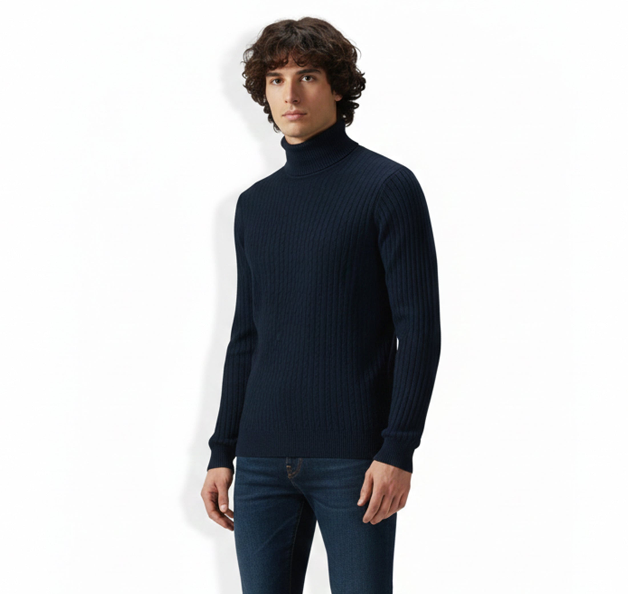 Mens Knit Turtleneck Sweater Regular Fit