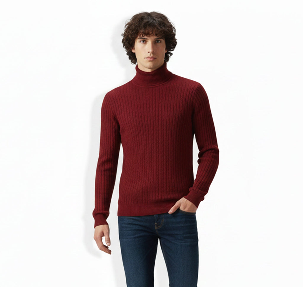 Mens Knit Turtleneck Sweater Regular Fit