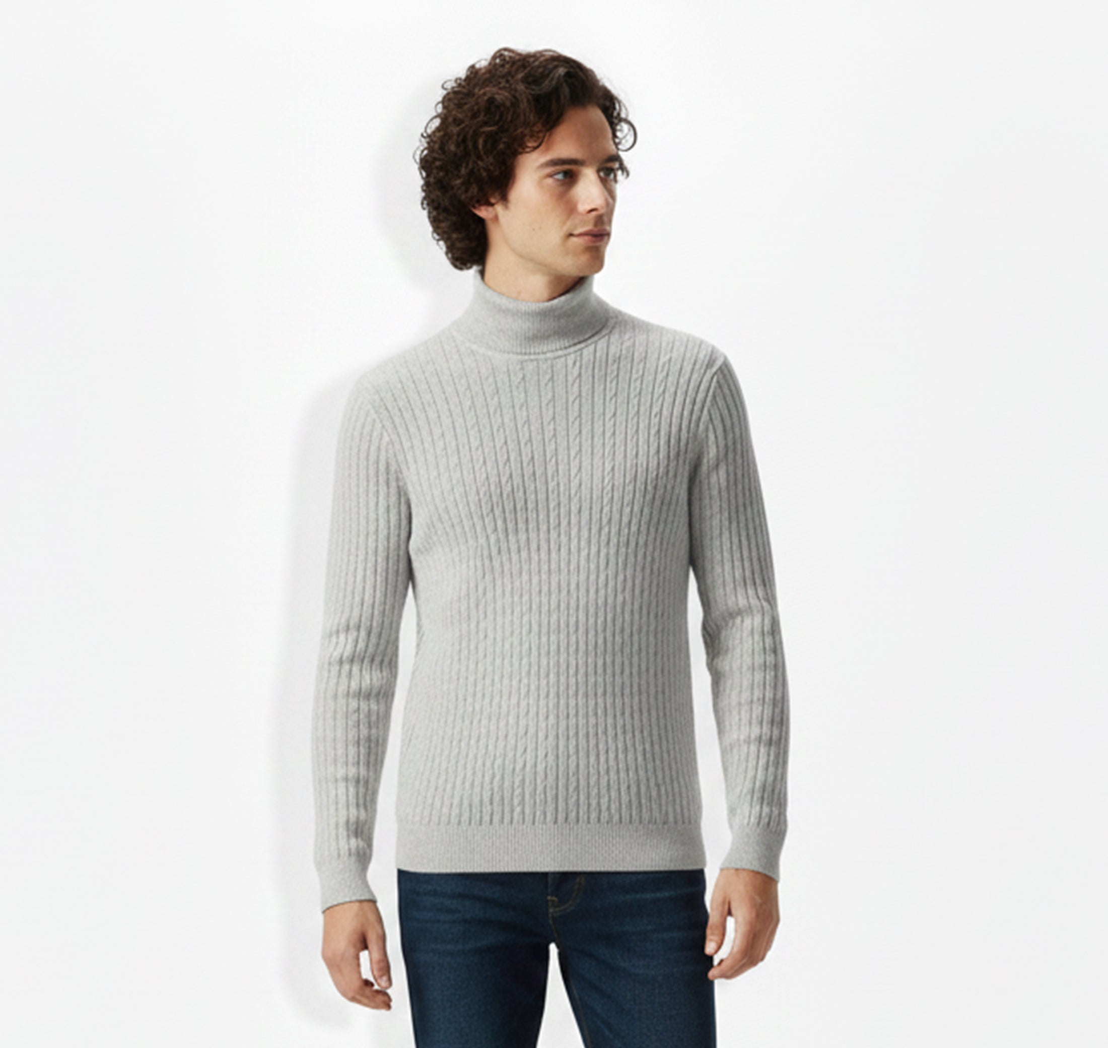 Mens Knit Turtleneck Sweater Regular Fit