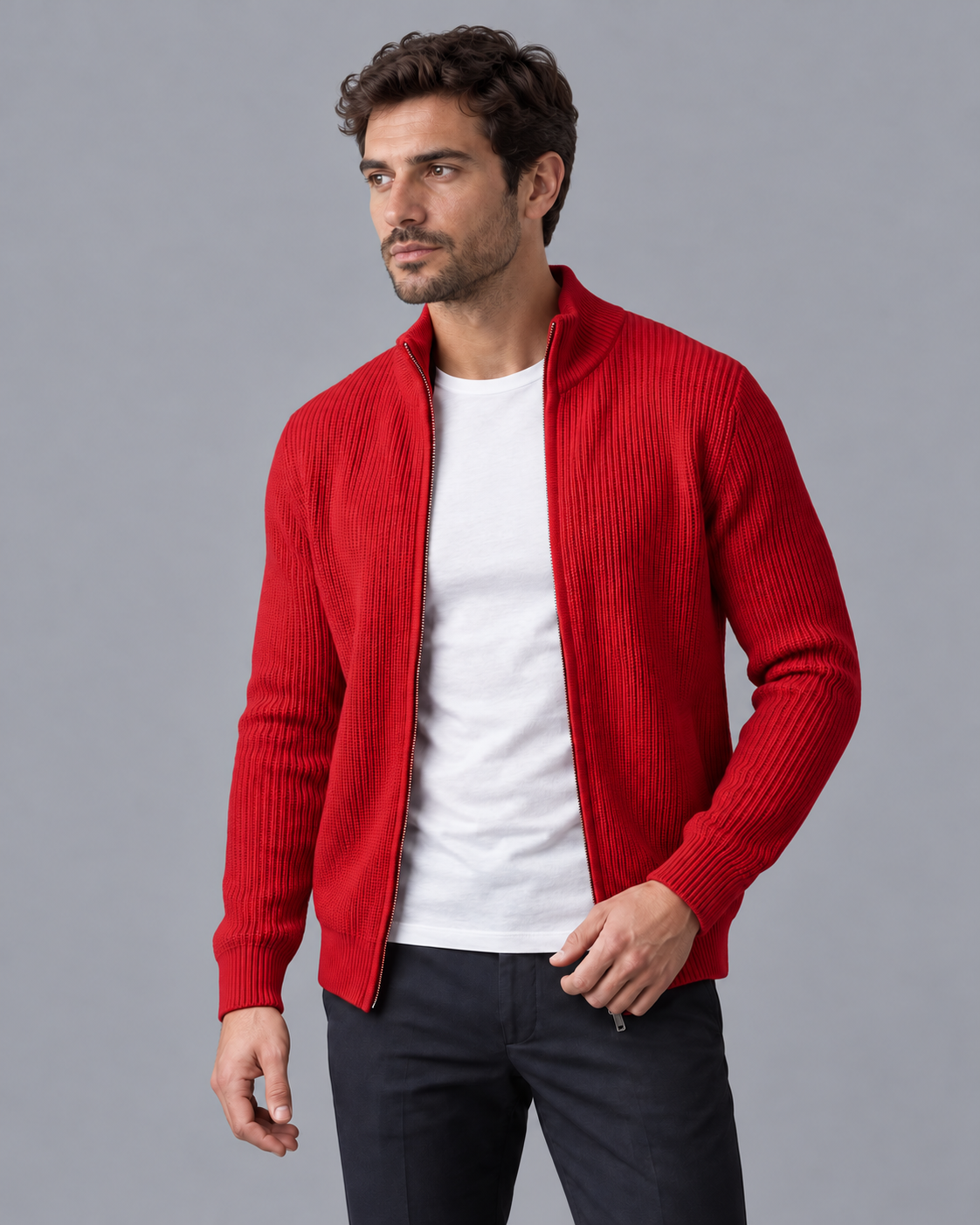 Men's Cardigan - Zip Up Ribbed Knit Stand Collar Regular Fit